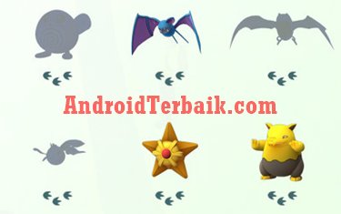 Maksud Jejak kaki di dekat Pokemon GO