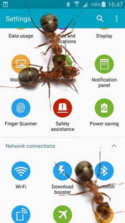 Cara Memunculkan Semut di Layar HP
