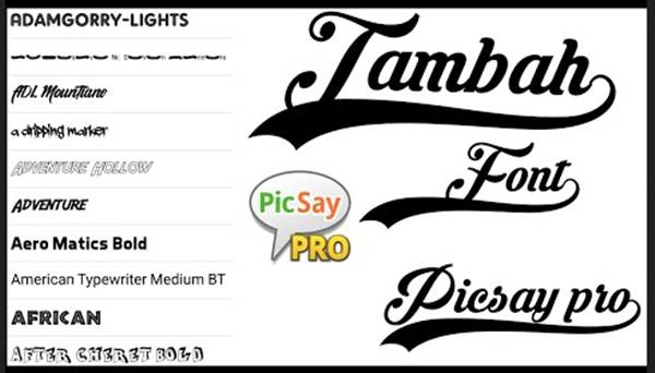 Tutorial Tambah Font PicSay Pro Terbaru