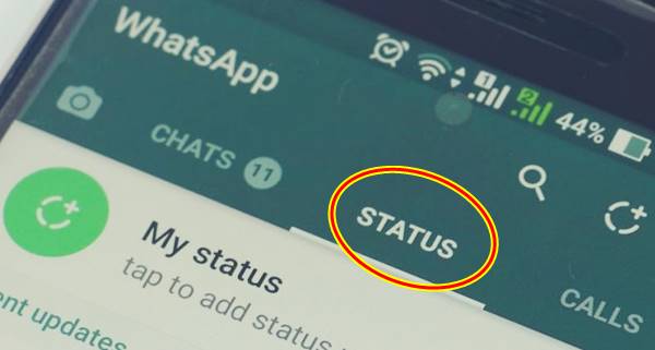 Cara Melihat Status WA Tanpa Diketahui Pembuat Status